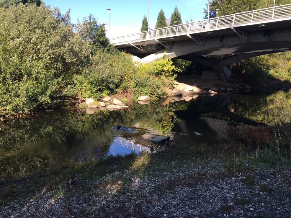Sammamish River Trail