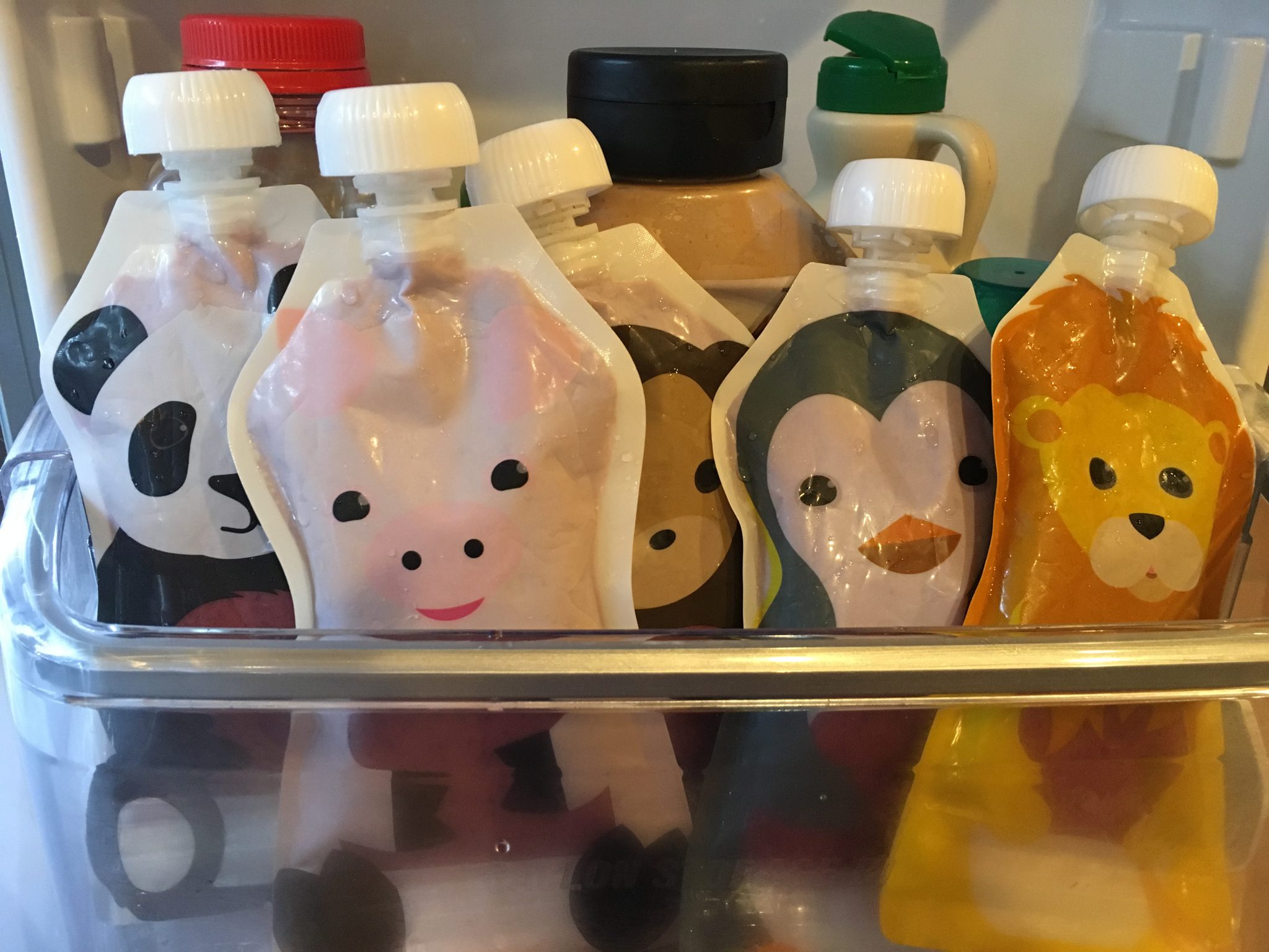 reusable feeding pouches