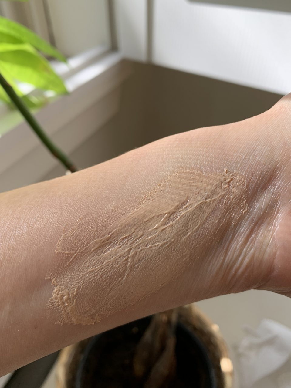 Elta MD tinted sunscreen swatches and review Redmond Mom